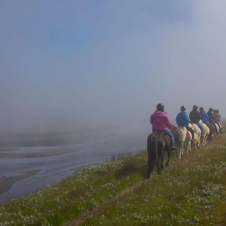 Husey Hostel & Horsefarm Egilsstadir Dış mekan fotoğraf