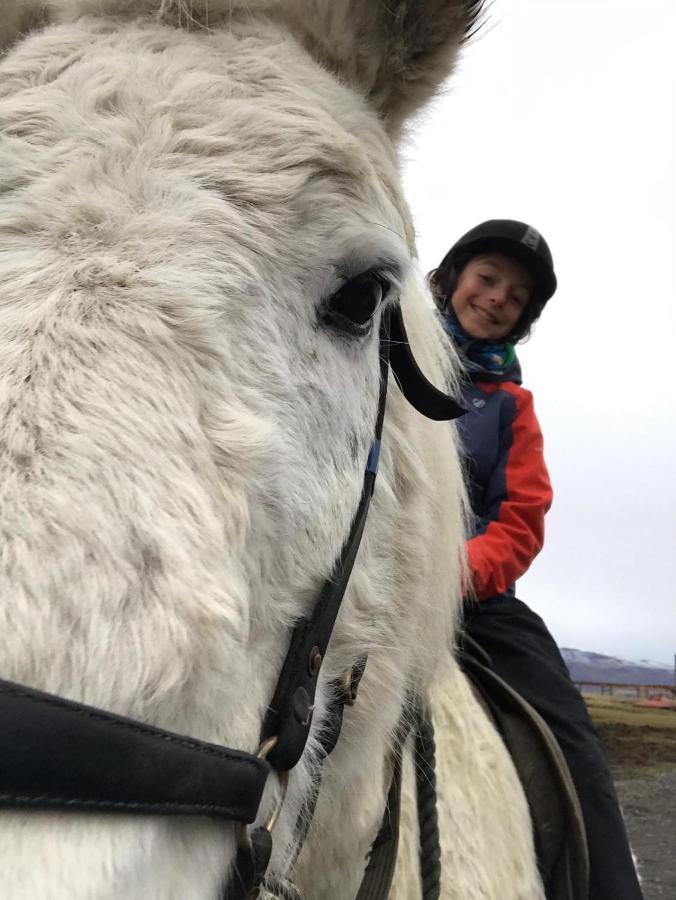 Husey Hostel & Horsefarm Egilsstadir Dış mekan fotoğraf