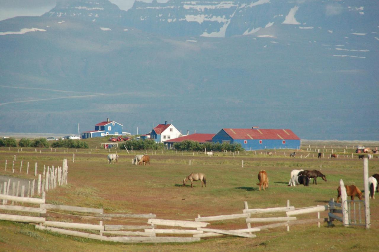 Husey Hostel & Horsefarm Egilsstadir Dış mekan fotoğraf