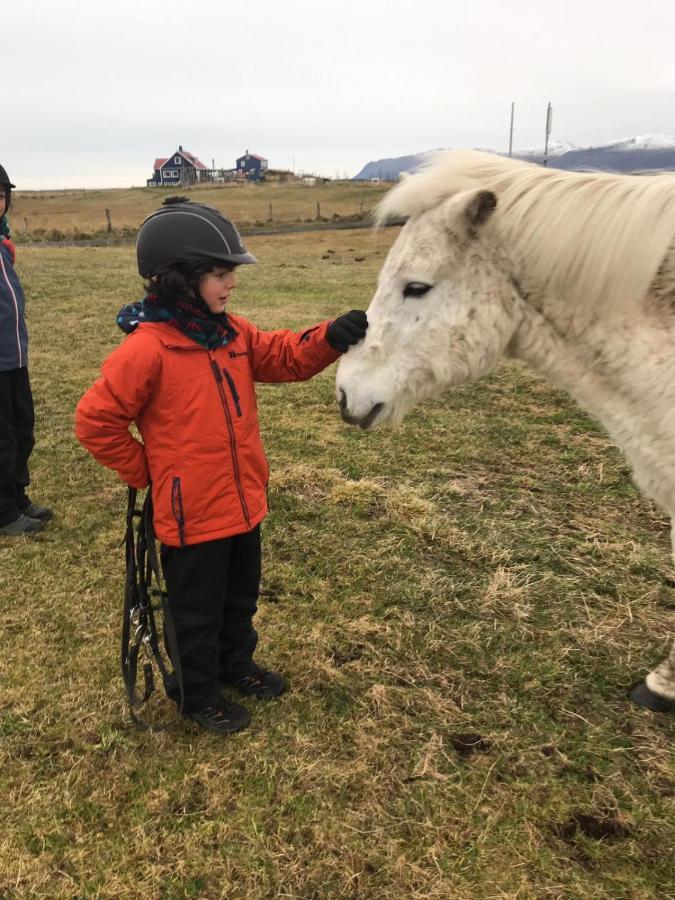 Husey Hostel & Horsefarm Egilsstadir Dış mekan fotoğraf