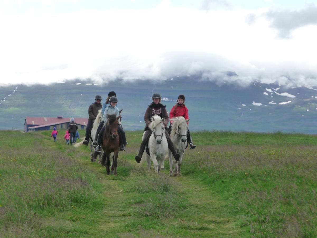 Husey Hostel & Horsefarm Egilsstadir Dış mekan fotoğraf