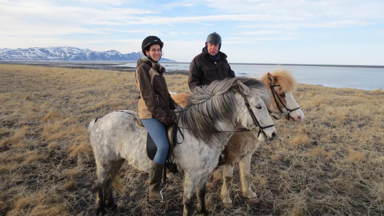 Husey Hostel & Horsefarm Egilsstadir Dış mekan fotoğraf